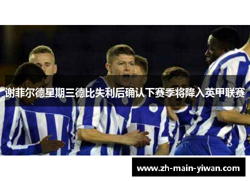 谢菲尔德星期三德比失利后确认下赛季将降入英甲联赛